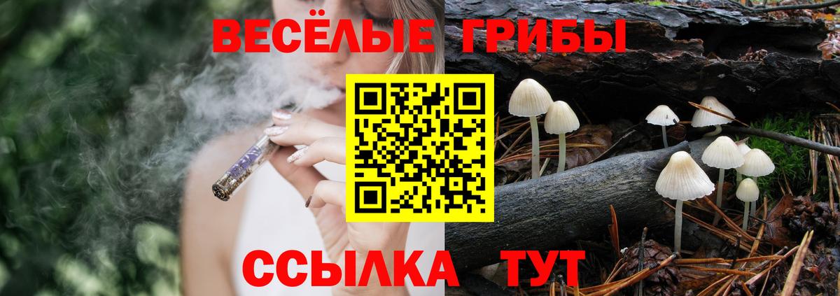 Псилоцибиновые грибы MAGIC MUSHROOMS Гай